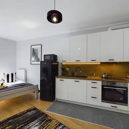 Exceptional Apartments With Parking By Noclegi Renters Krakow Exterior photo